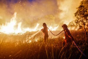 Serukan Taubat Nasuha, MUI Desak Tindak Tegas Pelaku Pembakaran Hutan